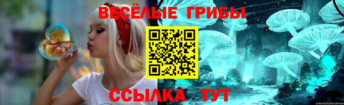 как найти   Галлюциногенные грибы Cubensis  Вход с VPN  Нурлат  Псилоцибиновые грибы Cubensis 